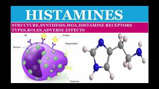 Histamines synthesis structure moa classificationofhistaminereceptors adr in Hinglish [upl. by Kaplan718]