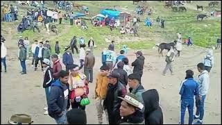 Gran carrera de caballos en Lircay Huancavelica Perú 2024 [upl. by Hoon]