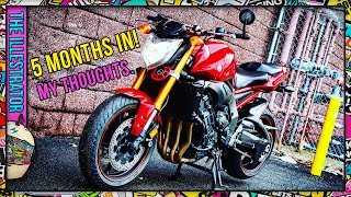 2006 Yamaha FZ1  5 Month Ownership Impressions [upl. by Fraser]