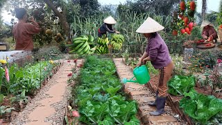 Full video of 20 days of gardening growing vegetables harvesting and cooking [upl. by Htesil]