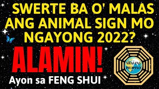 Kapalaran Mo 2022 Prediksyon ayon sa Feng Shui  Chinese Zodiac 2022 Year of the Tiger Prediction [upl. by Essilem]