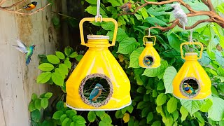 Bird house Bird house making at home plastic bottle craft ideas [upl. by Nauqad]