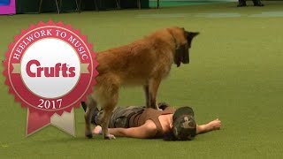 Heelwork To Music  International Freestyle Competition Part 13  Crufts 2017 [upl. by Aerol]