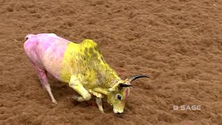 VIRALIMALAI JALLIKATTU  2019 [upl. by Buke309]