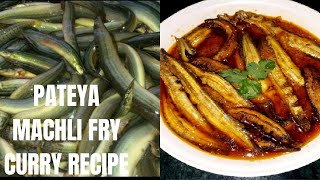 Pateya Machli Recipe  Little Eel Fish Recipe  Bam Fish 🐬🦈🐟 पाटेया मछली फ्राई मसालेदार रेसिपी [upl. by Suiramaj]