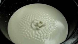 NonNewtonian Fluid Fun [upl. by Hsoj]