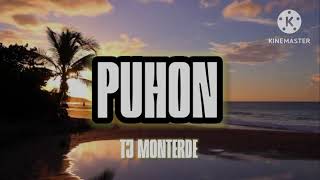 Puhon  TJ Monterde  Official Lyrics [upl. by Zevahc]