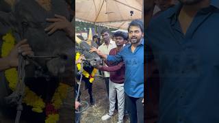 Kadaikutty Singam Karthi 🔥 meiyazhagan tamilcinema shortstamil tamilshorts trending tamil [upl. by Cerellia]