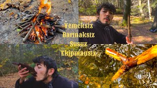 İlkel Yöntemlerle Ormanda Hayatta Kalmak Solo 1 Day SurvivalampBushcraft amerika [upl. by Ethbun]