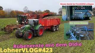 LohnerVLOG423 Rübenernte 24 I Holmer Terra Dos I Fendt 724 Gen6 und Krampe TKW 20 I FendtONE Pflug [upl. by Kleper]