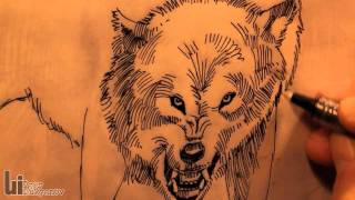 Drawing an Angry Wolf [upl. by Larina]