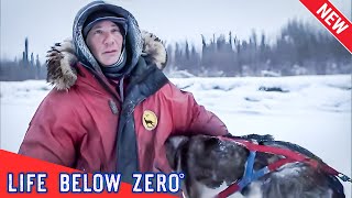 Life Below Zero NEW 2024🔪 Search and Rescue 🔪 Best Hunting Documentaries [upl. by Lleynad512]