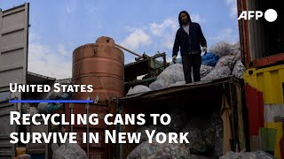 The New York canners recycling discarded bottles to survive  AFP [upl. by Essyla]