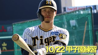 【再始動】日本シリーズ に向け甲子園球場で再始動した選手たちの練習の様子をお届けします！！ [upl. by Madalyn692]