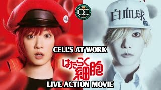 Cells at Work Live Action Trailer [upl. by Danell]