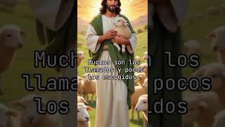 Muchos serán llamados al reino de Dios pocos entrarán 😿 [upl. by Ahsiuqram140]