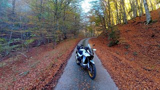 Fogliage dautunno tra i monte SellataArioso in terra Lucana [upl. by Imij574]