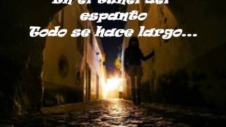 Que Nadie  Manuel Carrasco ft Malu letra [upl. by Ydac]