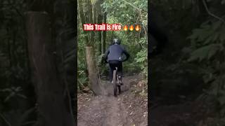 This Trail is Fire 🔥🔥🔥 emtb rotoruatrails enduroemtb sam2 epictrail shorts [upl. by Gavrilla186]