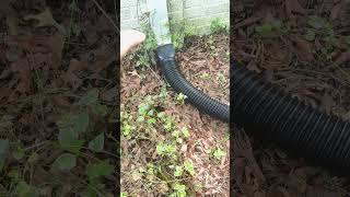 Effortless Rain Diversion Plusgutter Downspout Extensions Quick Review [upl. by Muslim703]