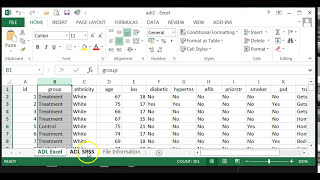 How to import Excel file into SPSS [upl. by Bergstrom]