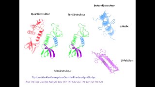 Part 16 Theoretische Biophysik 6 [upl. by Anid325]