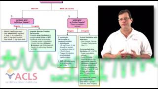 Tachycardia Review by ACLS Certification Institute [upl. by Nylak]