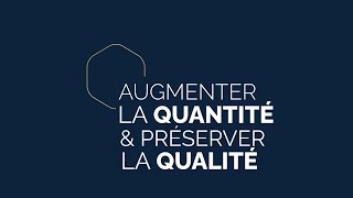 Coaching  comment augmenter son nombre de clients sans sacrifier la qualité de l’accompagnement [upl. by Borer155]