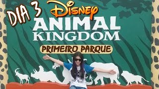 Parque Animal Kingdom na Viagem Disney Realizando Sonhos Especial de Parques e Passeios em Orlando [upl. by Geiss]