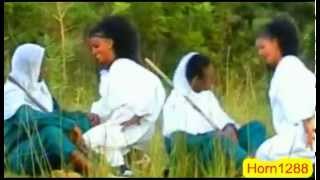 Ethiopian Amharic Music New  Abebayehu Demesse ¤ ደራነሽ ወይ ¤ [upl. by Enytsirk]