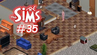 🏠Die Sims  Familie Autumn  35 No Commentary GER🏠 [upl. by Reisch]