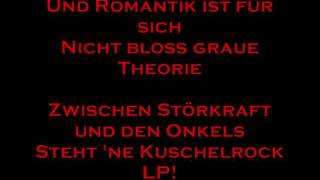 Die Ärzte  Schrei Nach Liebe with Lyrics [upl. by Quintina]