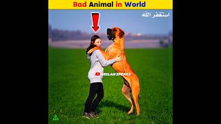 Bad Animal in World  Arslan Speaks facts shortsfeed arslanspeaks amazingfacts [upl. by Plank]