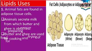 L8  Lipids Source and uses  ch14  10th Chemistry [upl. by Inej]