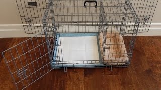 Modern Puppies Puppy Apartment Review [upl. by Ray]