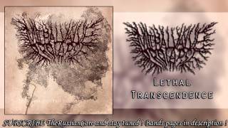 Mitral Valve Prolapse – Lethal Transcendence [upl. by Alimrahs]