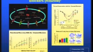 Recovering from Spinal Cord Injury What Prevents Recovery [upl. by Laohcin]