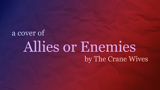 a cover of Allies or Enemies by The Crane Wives [upl. by Ainocal]