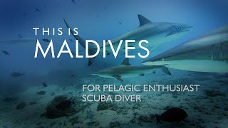 This is Maldives  4K Cinematic Teaser [upl. by Krahling874]