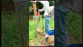 Natural Honey Harvesting from Beehives  EcoFriendly Beekeeping Tips 🍯🐝 [upl. by Eerolam]