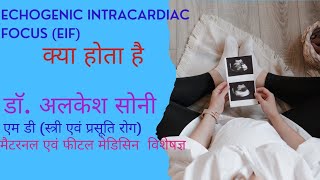 Echogenic Intracardiac Focus EIF क्या होता है क्या यह कोई Abnormality है आगे क्या करना चाहिए [upl. by Damha]