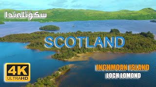 Inchmoan Island Loch Lomond Scotland 4K Drone  Insta 360  Speed boat [upl. by Anihsat]