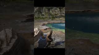 RDR 2 Legendary Bull Gator shorts rdr2 [upl. by Neddy]