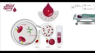 Blood Typing Game  Rh   and A B AB O Blood  FUN [upl. by Ytisahc]