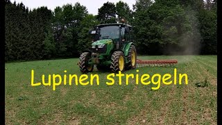 Inder striegelt Lupinen John Deere 5067E Lely [upl. by Lourdes]