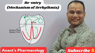 Reentry Mechanism of Arrhythmia [upl. by Tennies]