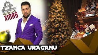 Tzanca Uraganu ❌ Esti iubirea vietii mele NEW HIT 2020 Dream Events By Barbu Events [upl. by Annoel]