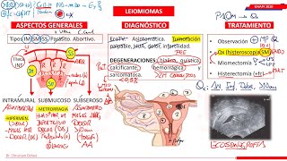 GINECOLOGÍA  PARTE X [upl. by Garrek243]