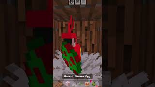 Minecraft Parrot House shortfeed minecraft shorts gameplay gaming gamingvideos minecrafthouse [upl. by Kenny364]