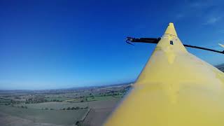 TMAC Big Yellow 35m RC Glider flying on a nice day [upl. by Dnaletak88]